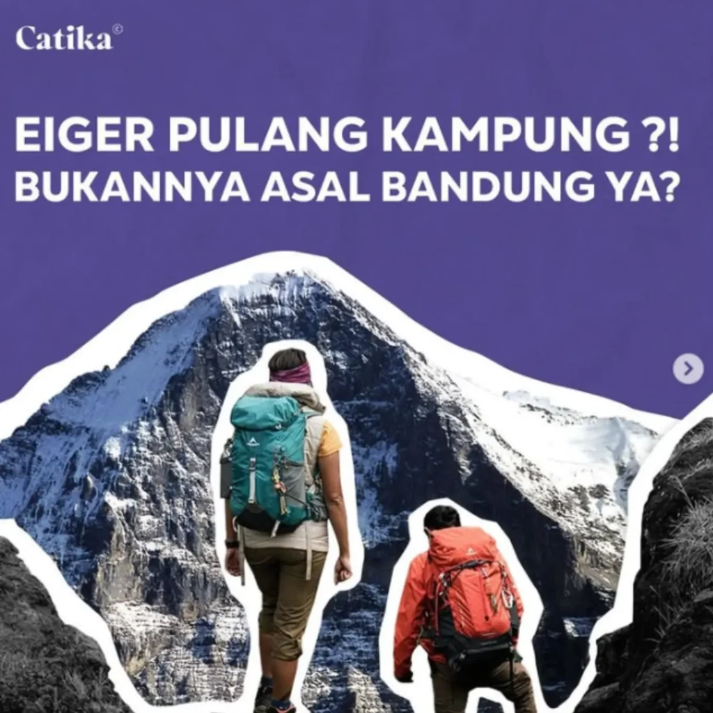 Catika Group Gallery 2