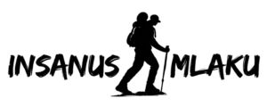 logo Insanus Mlaku